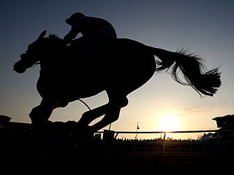 Dublin Horse Show opens today